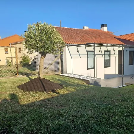 Casa Gafura 別荘 *